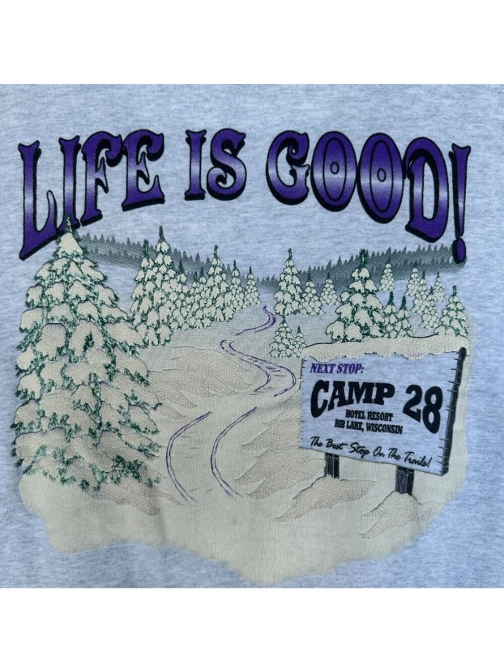 Vintage 90s Wisconsin Snowmobile Sweatshirt Gray L Gorpcore Outdoor Motorsport - Picture 5 of 8